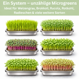 Friendly Fox Microgreens Anzuchtschale aus Edelstahl, 2er Set mit Hanfmatten, Keimschalen für Sprossen und Microgreens, Plastikfrei, 31x21 cm
