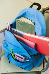 2 Stück Sammelmappen A4 mit Motiv, bunte Postmappe für DIN A4, Doppelpack