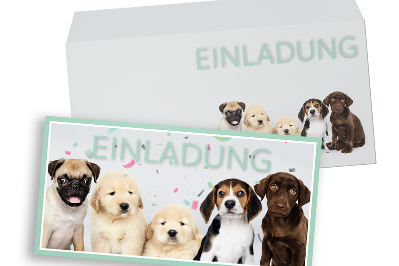 Friendly Fox Hunde Einladung, 12x Einladungskarten Kindergeburtstag Welpen, Geburtstagseinladung DIN Lang