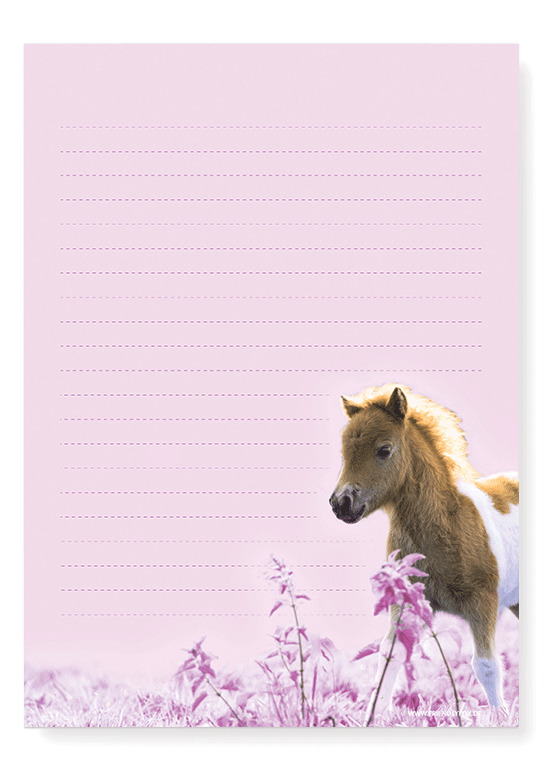 Briefpapier mit Pony Motiv und Umschlägen