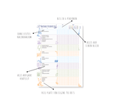 Friendly Fox Haushaltsplaner Familie mit Aufgaben, Aufgabenplaner für Haushalt Familie WG, DIN A4 Planungsblock Putzplan für den Haushalt